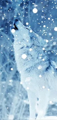 Adorn your phone with a picturesque live wallpaper featuring a mighty wolf standing poised on a cold, snow-covered ground
