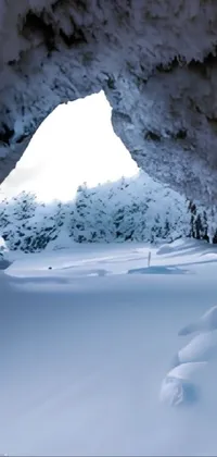 Enjoy the wonders of nature with our Live Wallpaper featuring a snow-filled cave next to a lush forest