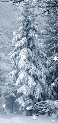 Snow Larch Twig Live Wallpaper