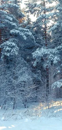 Snow Natural Landscape Twig Live Wallpaper
