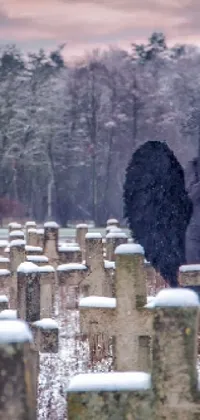 Experience the eerie beauty of Gothic art with this stunning live wallpaper of a woman standing in a snow-covered cemetery
