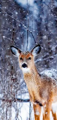 This live phone wallpaper depicts a serene winter landscape with a deer standing gracefully amidst falling snowflakes