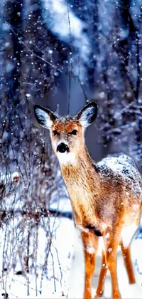 Experience the beauty of nature with this live wallpaper featuring a stunning deer in the snow