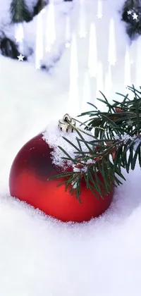 Snow Plant Christmas Ornament Live Wallpaper