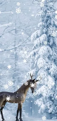 Snow Plant Deer Live Wallpaper