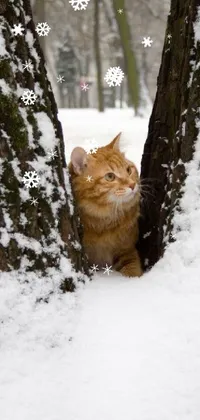 Snow Plant Felidae Live Wallpaper