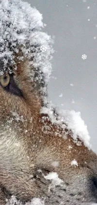 Experience the beauty of nature on your mobile device with this amazing close-up wallpaper of a dog in the snow