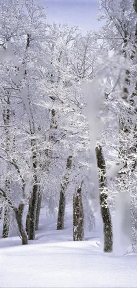 This phone live wallpaper features a group of snow-covered trees, creating a beautiful wintry scene