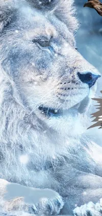 Snow Sky Dog Breed Live Wallpaper