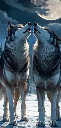 Snow Sky Wolf Live Wallpaper