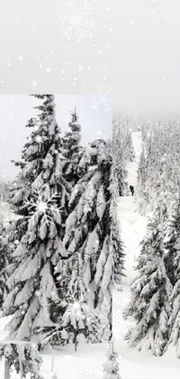 Snow Slope Branch Live Wallpaper