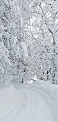Snow Slope Tree Live Wallpaper