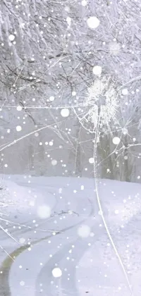 zima Live Wallpaper