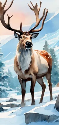 Snow Vertebrate Elk Live Wallpaper
