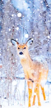 This phone live wallpaper showcases a stunning portrait of a deer standing in the snow