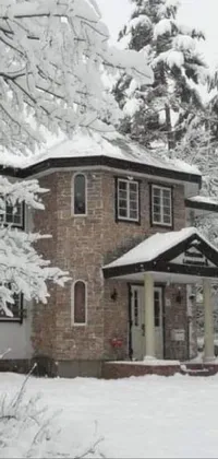 Snow Window Building Live Wallpaper