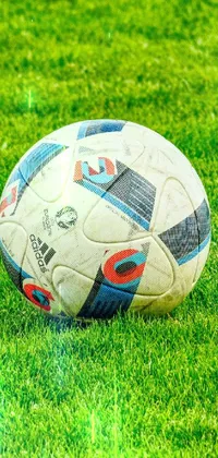 Soccer Ball and Soft Turf Live Wallpaper