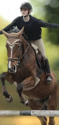 Sports Equipment Helmet Horse Live Wallpaper
