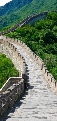 Stairs Tree Landmark Live Wallpaper