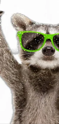 Sunglasses Carnivore Whiskers Live Wallpaper
