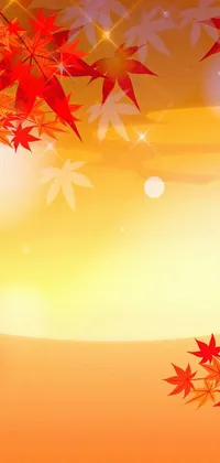 Sunset Colorful Setting Live Wallpaper