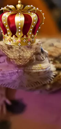 This lively phone wallpaper showcases a majestic lizard donning a crown on its head, making for a vibrant and regal display