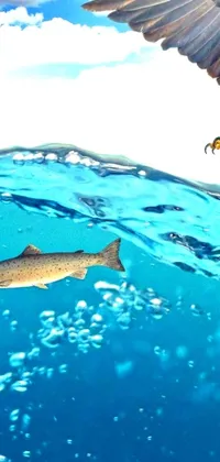 Swimming Water Animal Live Wallpaper
