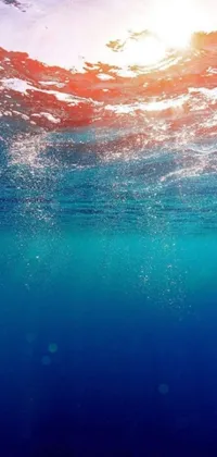 Swimming Water Aqua Live Wallpaper