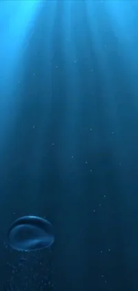 Swimming Water Blue Live Wallpaper