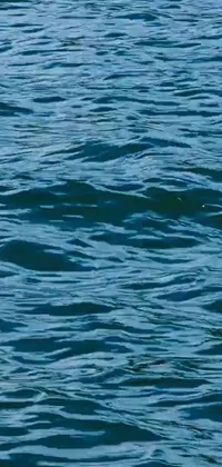 Swimming Water Outdoor Live Wallpaper