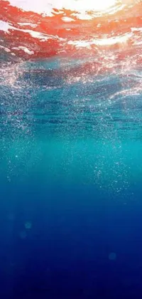 Swimming Water Outdoor Live Wallpaper