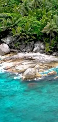 This live wallpaper boasts a serene water body framed by a lush forest, rocks, and trees on a phone