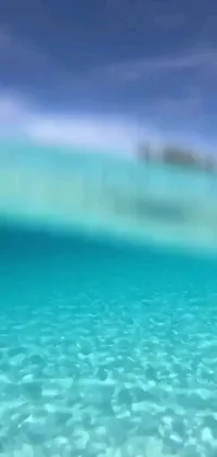 Swimming Water Turquoise Live Wallpaper