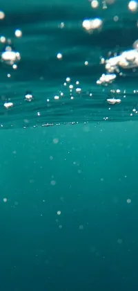 This live wallpaper is a captivating close-up of a serene teal blue body of water with rising bubbles underneath