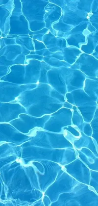 Swimming Water Turquoise Live Wallpaper