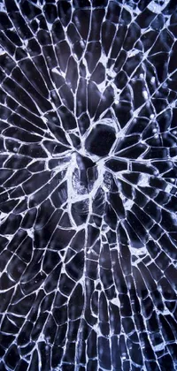 This live wallpaper features a stunning close up of a broken glass window, with abstract illusionism and microscopic details