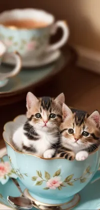 Tableware Cat Drinkware Live Wallpaper