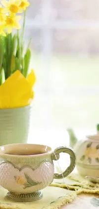evening time  Live Wallpaper