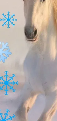 Looking for a mesmerizing live wallpaper for your phone? This stunning winter wonderland scene features a majestic white horse running through the snow, with delicate snowflakes falling all around