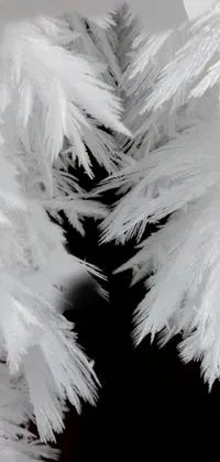 This phone live wallpaper showcases a close-up of a snow-covered tree branch, with macro photography capturing the detailed snowflakes and ice formations