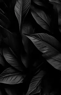 Terrestrial Plant Grey Tints And Shades Live Wallpaper