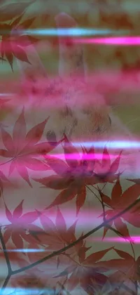 Terrestrial Plant Pink Material Property Live Wallpaper