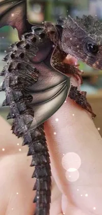 This phone live wallpaper features a close-up of a newly hatched black dragon being cradled by a young adult with a look of tender affection on their face