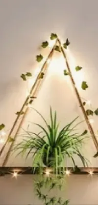 Terrestrial Plant Twig Plant Live Wallpaper