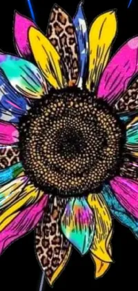 This phone live wallpaper showcases a colorful sunflower on a sleek black background, perfect for those who love graphic floral designs