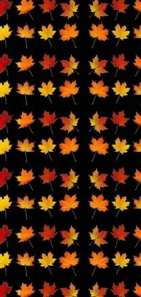Textile Symmetry Pattern Live Wallpaper