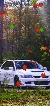 This phone live wallpaper features a white car parked in a serene forest setting