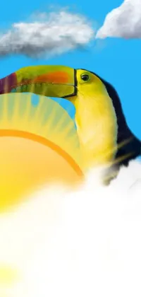 Toucan Bird Cloud Live Wallpaper