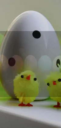 Toy Egg Bird Toy Live Wallpaper