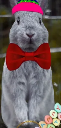 Toy Felidae Bow Tie Live Wallpaper